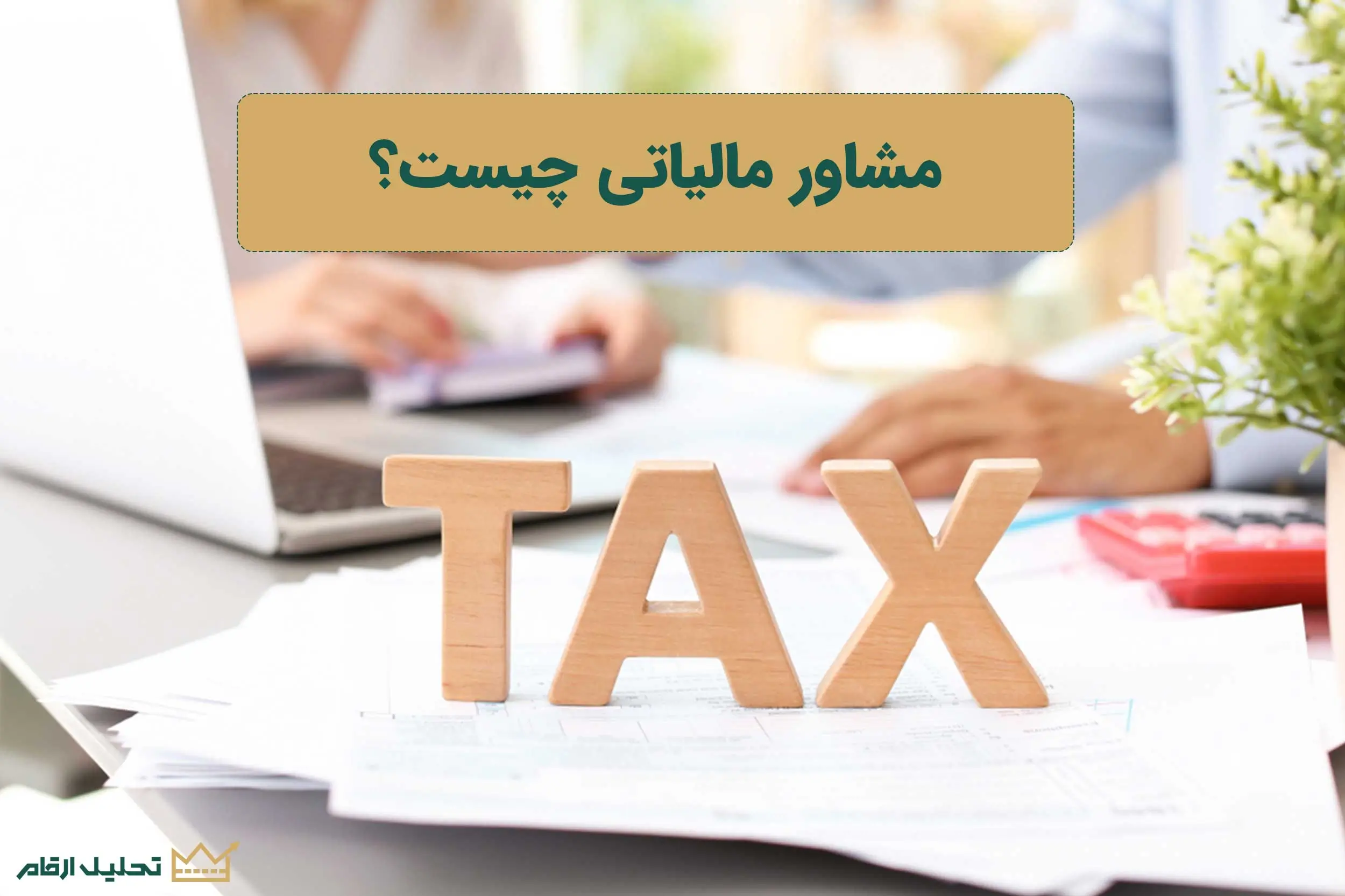 مشاور مالیاتی کیست و چه وظایفی بر عهده دارد؟