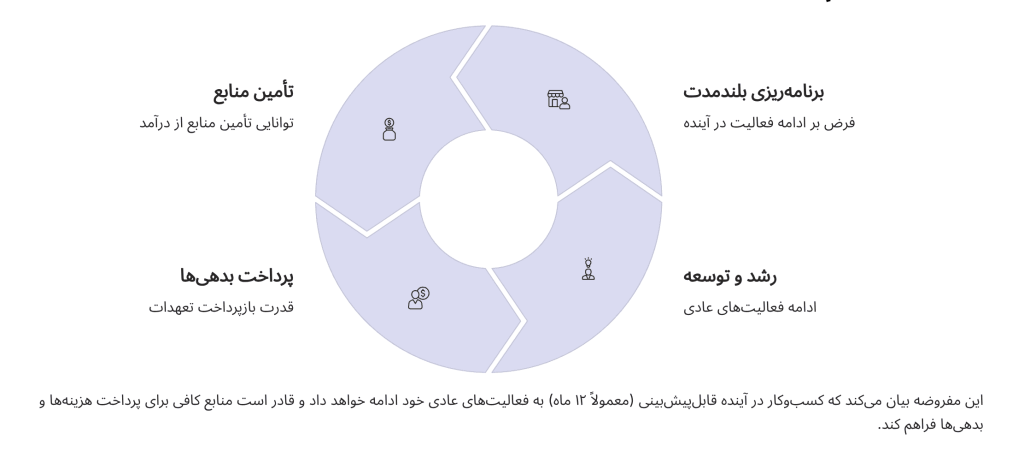 فرض تداوم فعالیت